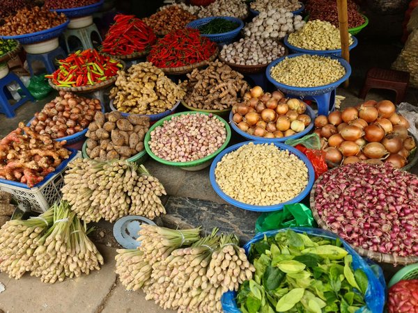 Les Bienfaits Insoupçonnés des Casseroles en Céramique : Les Clés pour une Cuisson Saine et Savoureuse !